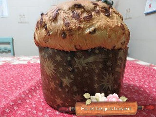 Panettone al cioccolato lievito madre