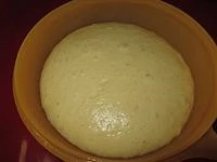 foto 4 panettone pasta madre