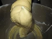 foto 5 panettone pasta madre