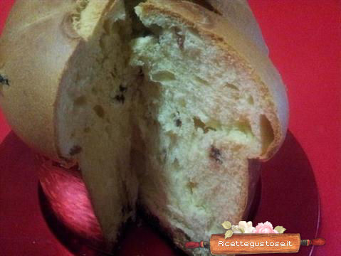 Panettone pasta madre
