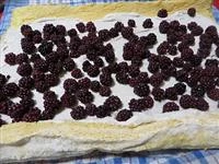 rotolo al farro e more 9