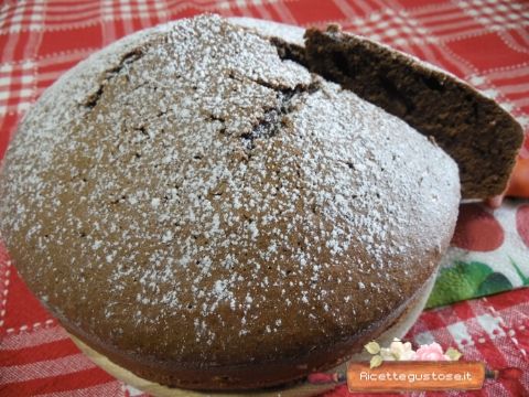torta al cacao lievito fatto in casa