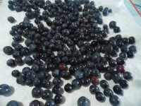 torta bertolina con uva fragola immagine 1