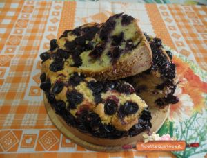 torta bertolina