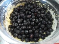 torta bertolina immagine 6