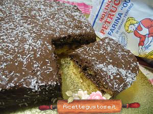 Torta cocco e nutella