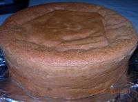 pan di spagna
