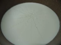 formaggio fatto in casa con il caglio immagine 4