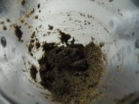 tapenade ricetta immagine 3