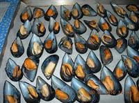 cozze gratinate al pomodoro immagine 1