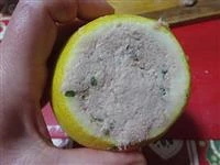 limoni alla mousse di tonno immagine 5