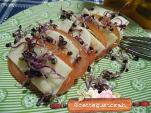Caprese con marzolino e germogli di ravanello rosso