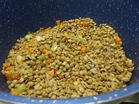 cotechino e spuma di lenticchie immagine 2