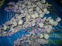 fiori di glicine fritti in pastella croccante immagine 2