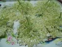 fiori di sambuco immagine 1