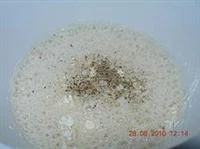 foglie di salvia in pastella immagine 2