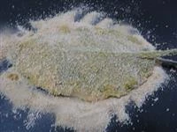 foglie di salvia ripiene fritte immagine 5