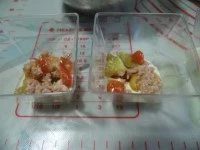 tiramisu salato tonno e pomodoro immagine 10