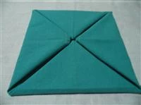 piegare tovagliolo fiore di loto immagine 8