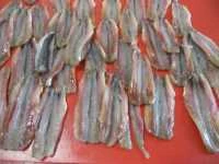 alici marinate sott'olio immagine 1