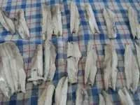 alici marinate sott'olio immagine 3
