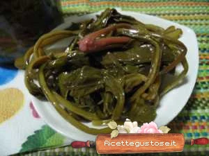 bietola selvatica sott olio