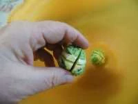 cavolini di bruxelles interi sott'olio immagine 1