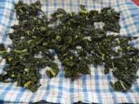 cavolo nero sott'olio immagine 2