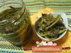 cicoria selvatica sott olio ricetta