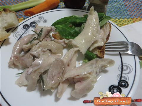 coniglio sott olio tonno di coniglio