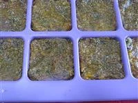 dado vegetale fatto in casa immagine 6