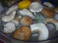 funghi porcini marinati immagine 2