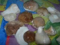 funghi porcini marinati immagine 3