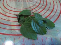 maionese al basilico rosso immagine 1
