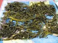 cavolo spigarello - minestra nera sott'olio immagine 2