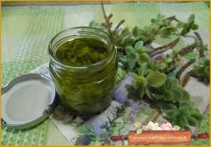 olio aromatizzato origano cubano ricetta
