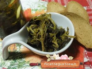 ortica sott olio