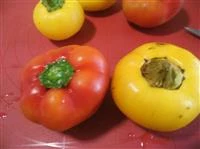 papaccelle sott olio a spicchi immagine 1