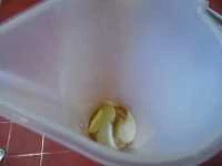 pesto all'aglione immagine 1
