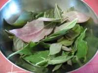 pesto amaranto e schiso immagine 1