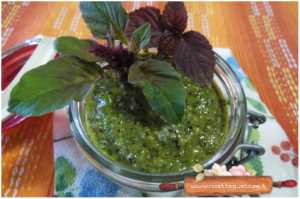 pesto amaranto e schiso rosso ricetta