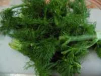 pesto barba di finocchi e noci rosse immagine 1