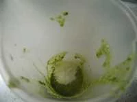 pesto basilico ed erba fungo immagine 5 