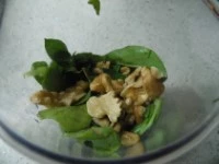 pesto basilico erba ostrica immagine 2