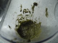 pesto basilico erba ostrica immagine 3