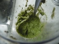 pesto basilico erba ostrica immagine 5