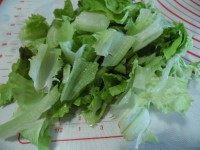 pesto di lattuga immagine 1