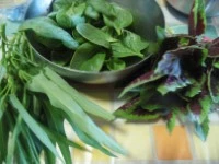 pesto di spinaci immagine 1