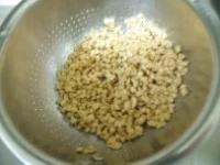 ragù granulare di soia immagine 1