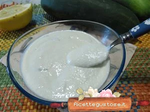 salsa tzatzichi ricetta